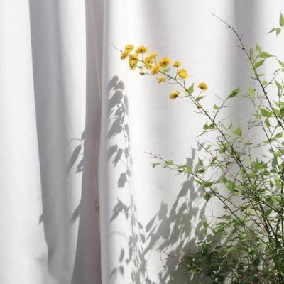 云开平台登录app